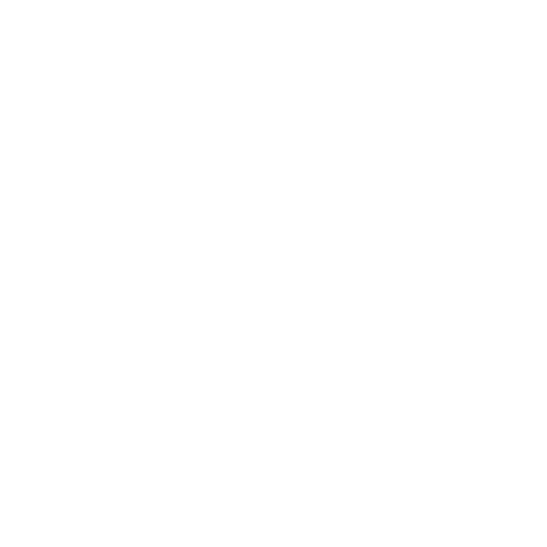 Income Tax Filing