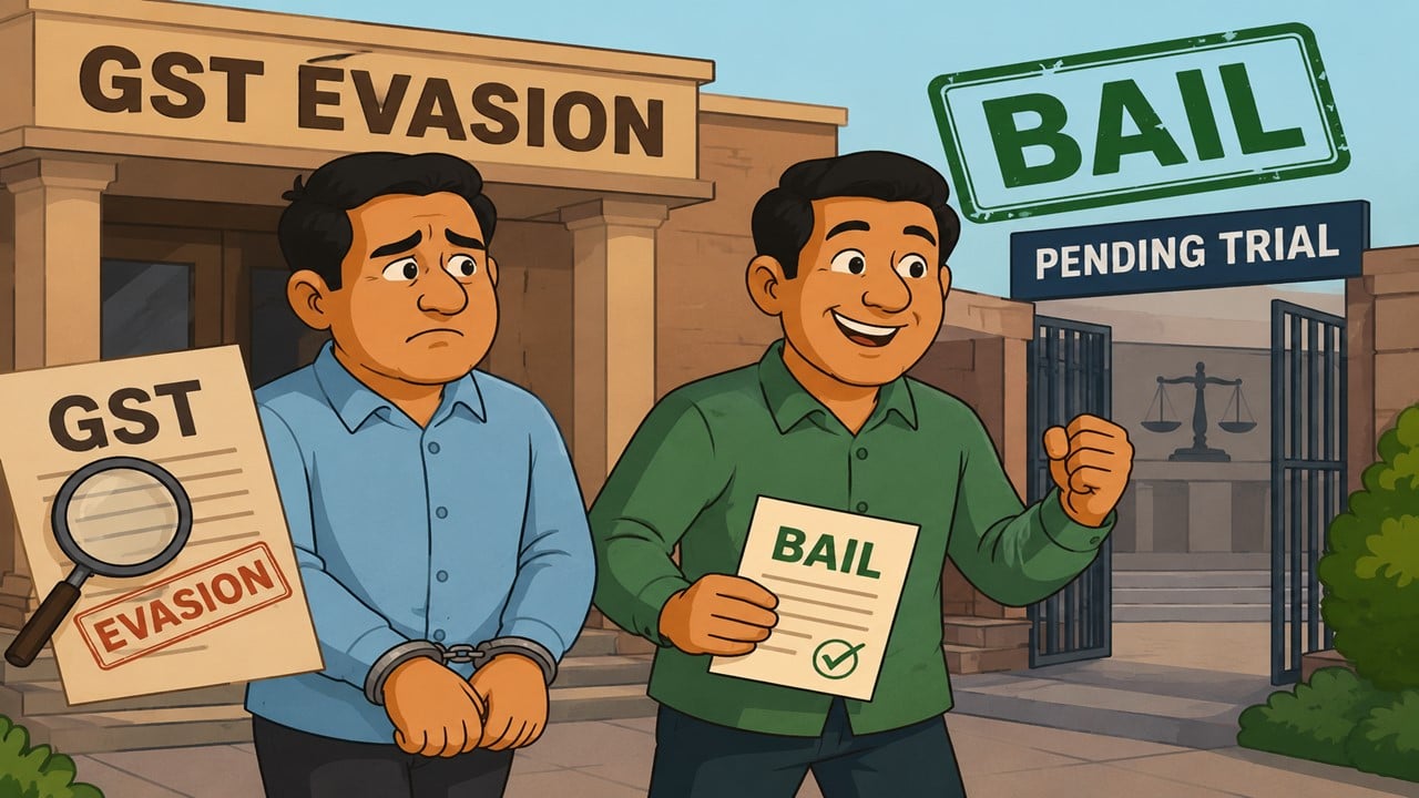 High Court Grants Bail, Says Ownership Role Yet to Be Proven