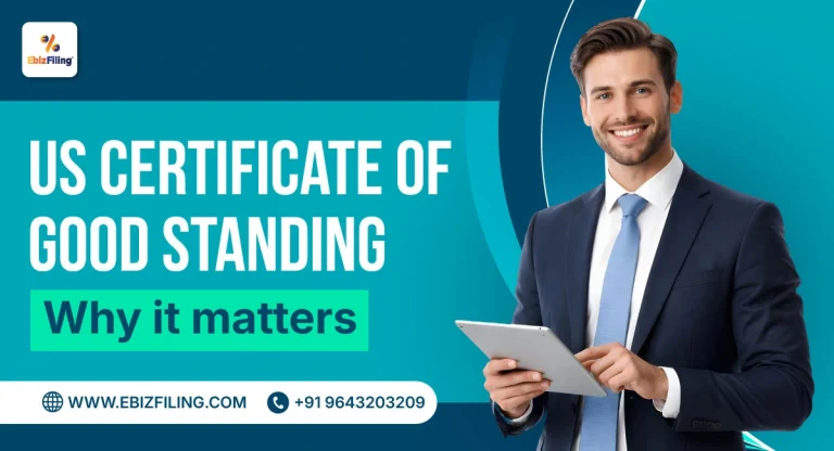 USA Certificate of Good Standing and its business uses